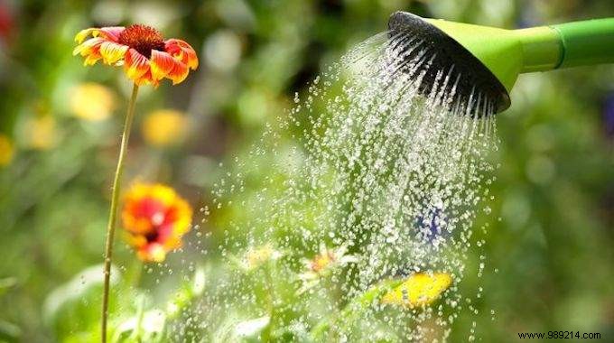 Collect Water Easily to Water Plants. 