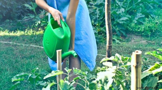 Water Saving:Recover Vegetable Cleaning Water to Water Plants. 