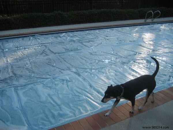 A swimming pool that costs you less with these 2 tips! 