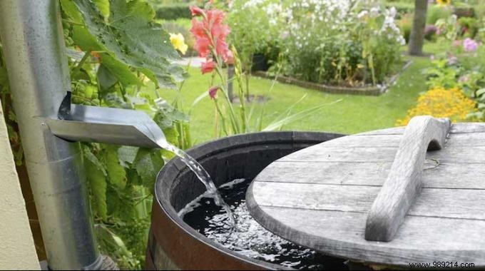 Use a Rainwater Collector to collect water for free. 