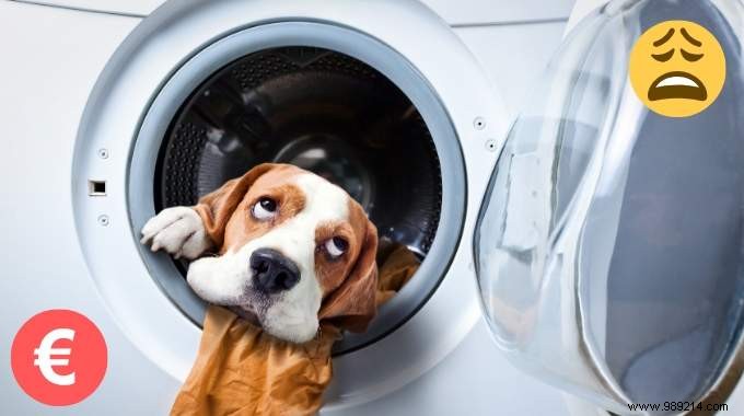 Washing Machine:Here s How Much Each Wash Costs You! 