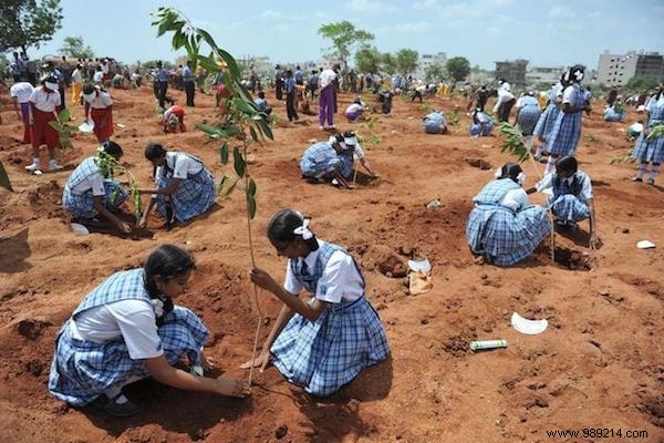 50 Million Trees Planted In 1 Single Day! India Breaks a World Record for the Planet. 