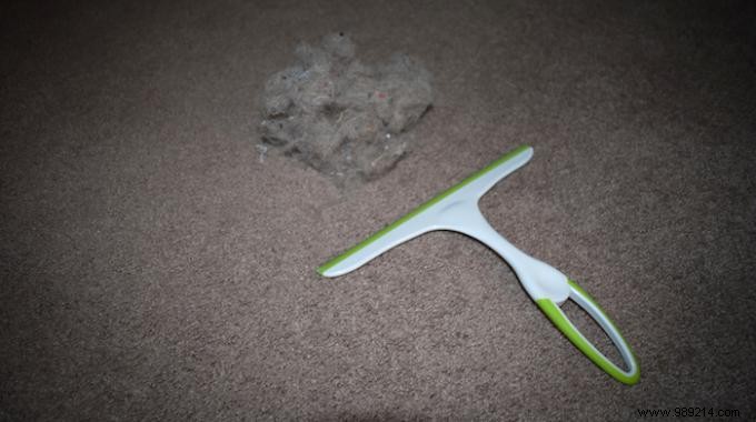 The trick to remove pet hair from your carpet, rug and sofa. 