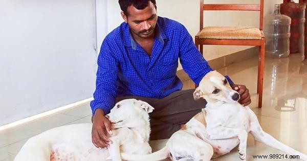 This Man Saves For 10 Years To Buy An Ambulance And Save Abandoned Dogs. 