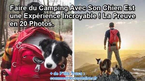 Camping With Your Dog Is An Incredible Experience! The Proof in 20 Photos. 