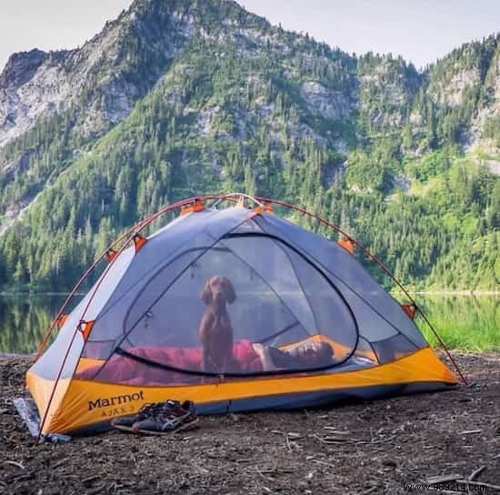 Camping With Your Dog Is An Incredible Experience! The Proof in 20 Photos. 