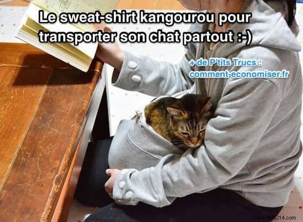 Smart Product:The Kangaroo Sweatshirt To Carry Your Cat EVERYWHERE. 