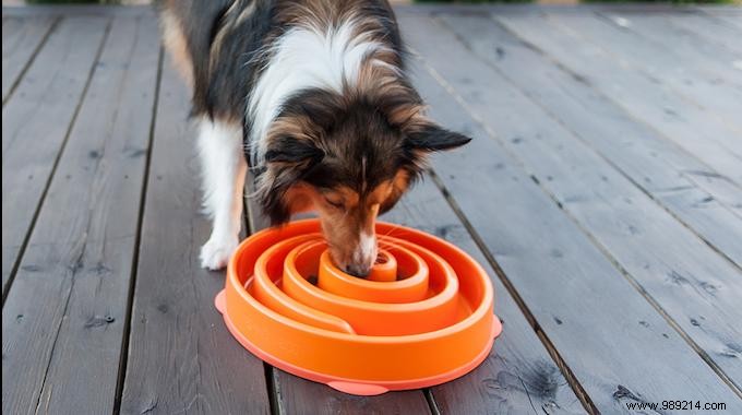 Smart product:The bowl that forces your dog to eat gently. 