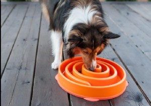 Smart product:The bowl that forces your dog to eat gently. 