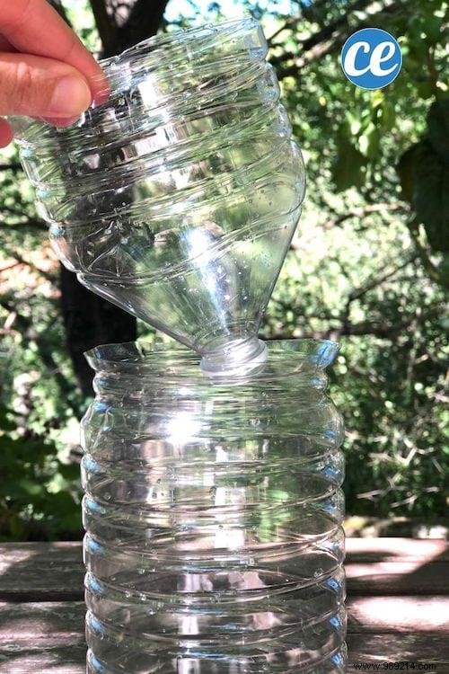 How to Make an Effective Fly Trap With a Plastic Bottle. 
