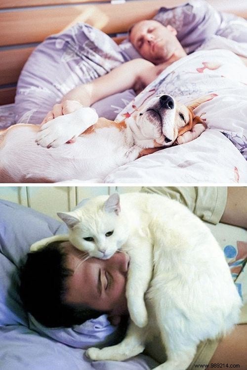 13 Photos That Prove That Cats and Dogs Come From 2 Different Worlds. 
