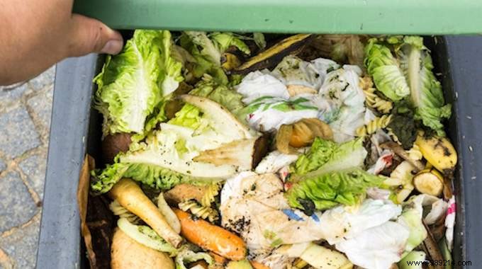 Food waste is expensive so how do you avoid it? 