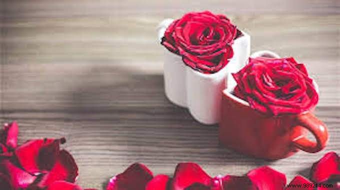 Valentine s Day:5 Ideas for a Day under the Sign of Love. 