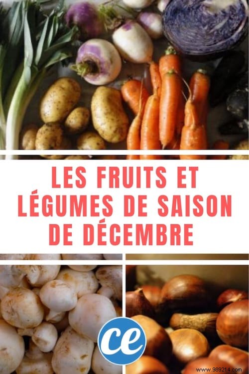 Do you know the Seasonal Fruits and Vegetables of December? 
