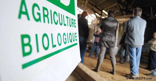 French Farmers Are Massively Converting To Organic. 