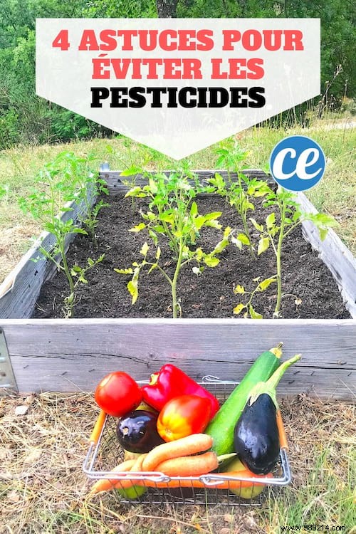 Which fruits and vegetables contain the most pesticides? 
