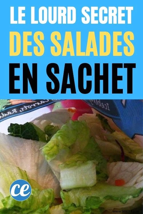 The Big Secret to Bag Salads Everyone Should Know. 
