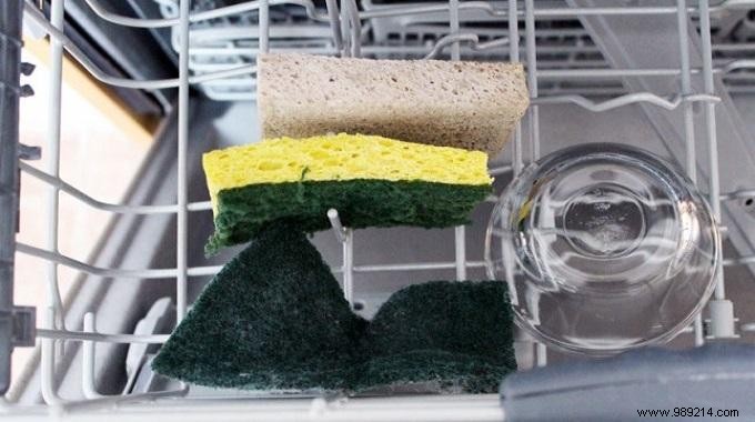 How to Give a Second Life to your Sponges. 