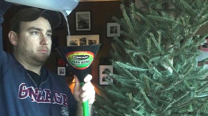 The trick to watering the Christmas tree WITHOUT getting stung! 