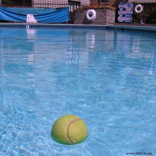 10 Surprising Ways to Use a Tennis Ball Everyday. 