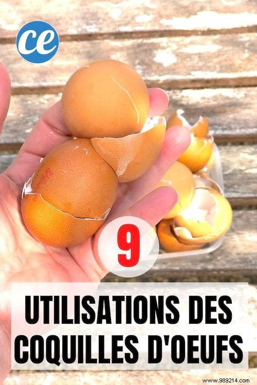 9 Amazing Uses of Eggshells. 