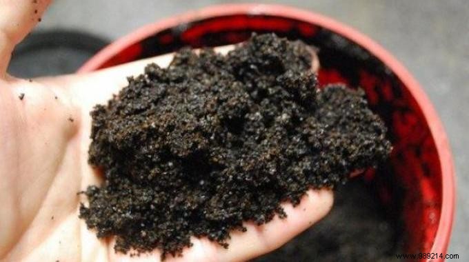 10 Good Reasons To NEVER Throw Away Your Coffee Grounds Again. 