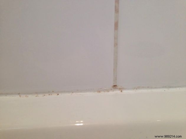The trick that works to remove mold from tile grout. 