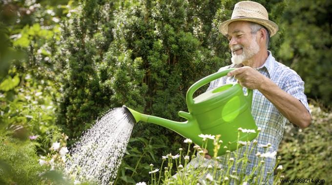 The Tip For Watering Your Plants Gently With A Garden Hose. 