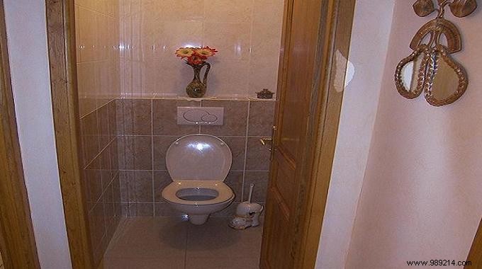How To Unclog Your Toilet Without Calling A Plumber? 