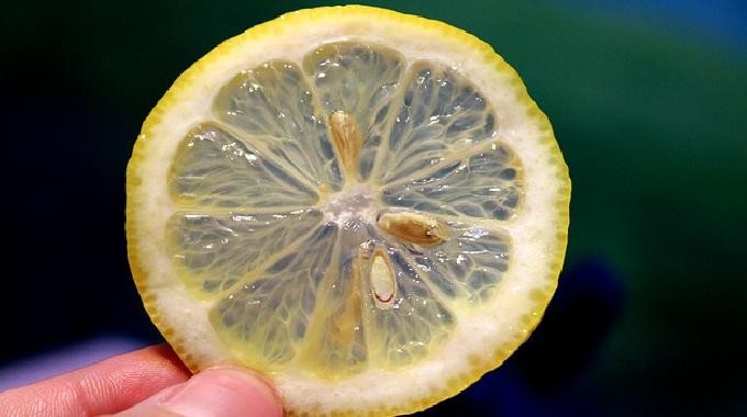 3 Lemon Uses Everyone Should Know. 