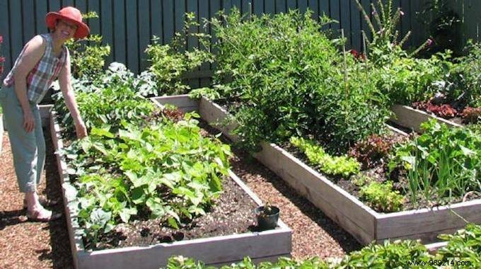 The 5 Secrets Of Effortless Gardening. 