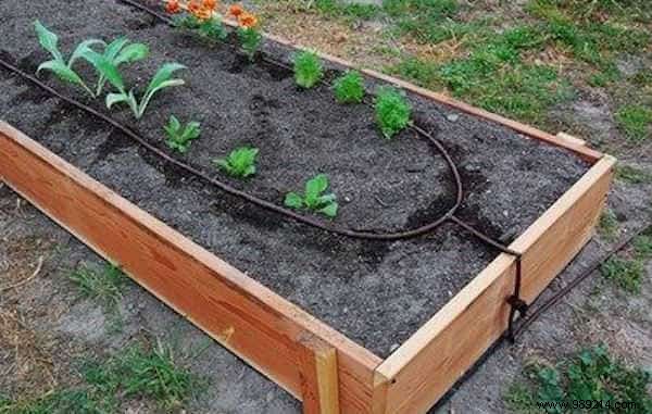 The 5 Secrets Of Effortless Gardening. 