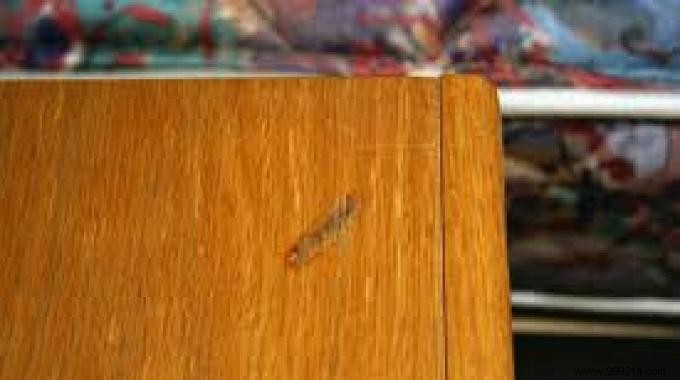 3 Tips for Removing Cigarette Marks from Furniture. 