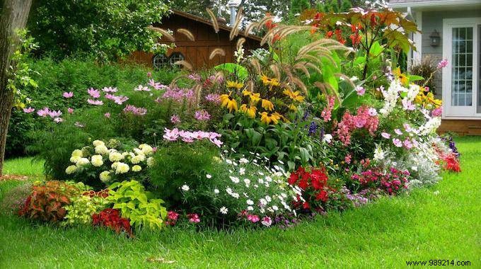 5 Natural and Free Fertilizers For Super Healthy Plants. 