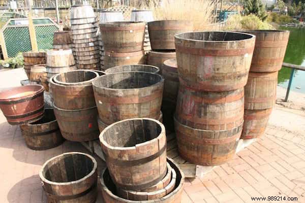 4 Simple Steps To Grow 45 kg Potatoes in a Barrel! 