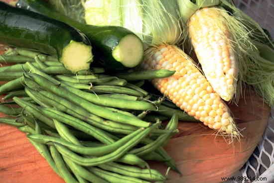 The Practical Guide to Combining the Vegetables in your Vegetable Garden. 