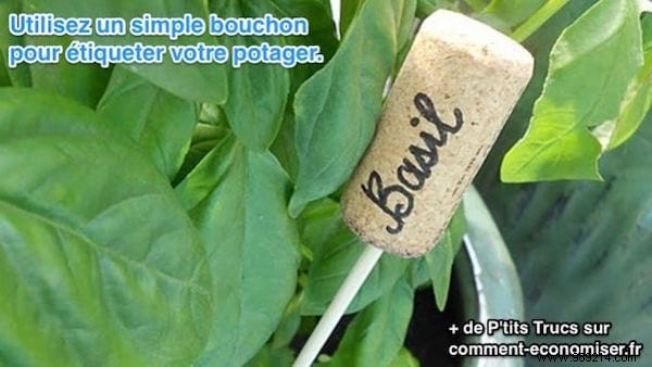 The Ingenious Trick To Make Beautiful Vegetable Patches in 2 min. 