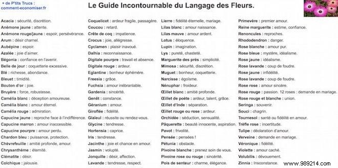 Each Flower has a Meaning. This is the Flower Language Guide. 