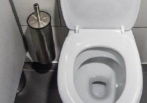 The best way to descale your toilet. 