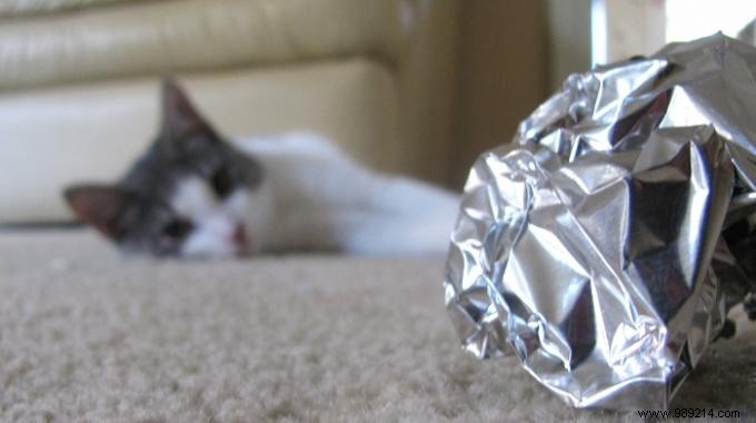 An Unknown Trick to Prevent Your Foil Roll from Coming Out of its Box. 
