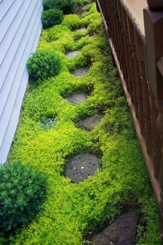 15 Awesome and Inexpensive Ideas for the Garden. 