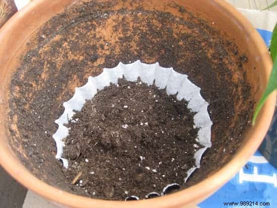 16 Amazing Uses of Coffee Filters. 