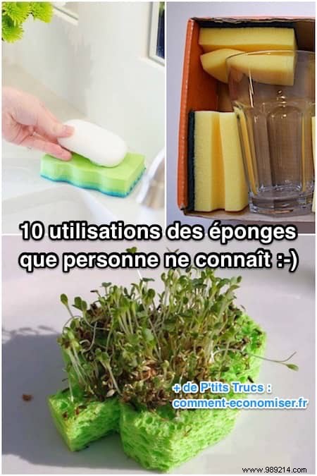 10 uses for sponges that NO ONE knows about. 