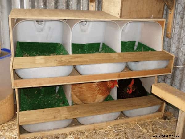 9 Amazing Uses for Vinegar in the Chicken Coop. 