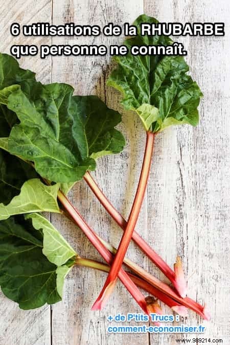 6 Uses of Rhubarb Nobody Knows About. 