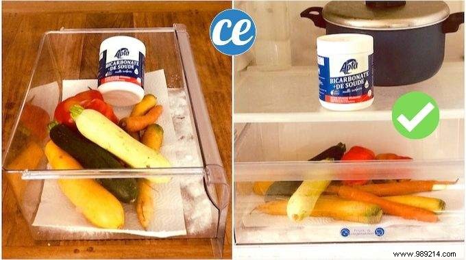 No More Smelly Crisper Bins With This Simple Trick! 