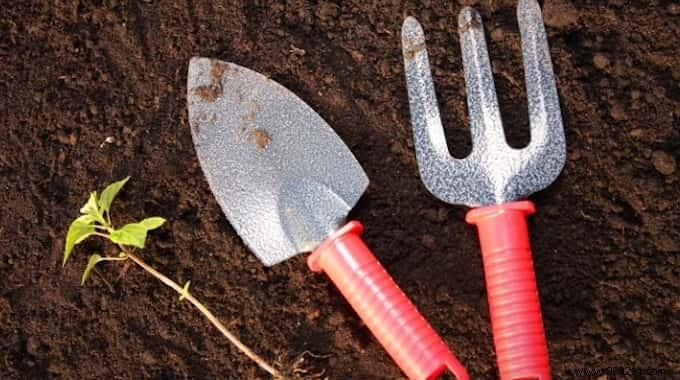 20 Gardening Secrets EVERYONE Should Know. 