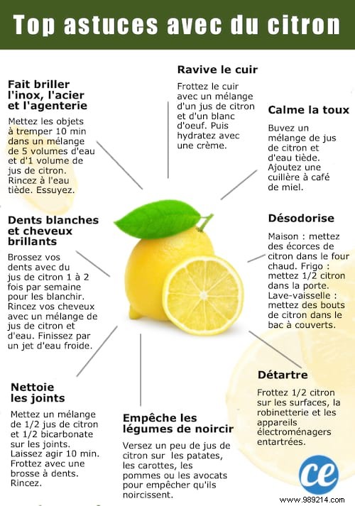 12 Lemon Uses That Will Make Your Life Easier. 
