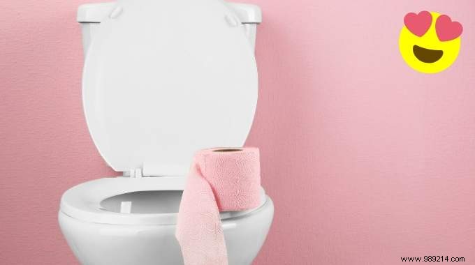 10 Tips For Always Impeccable Toilets That Smell Clean. 