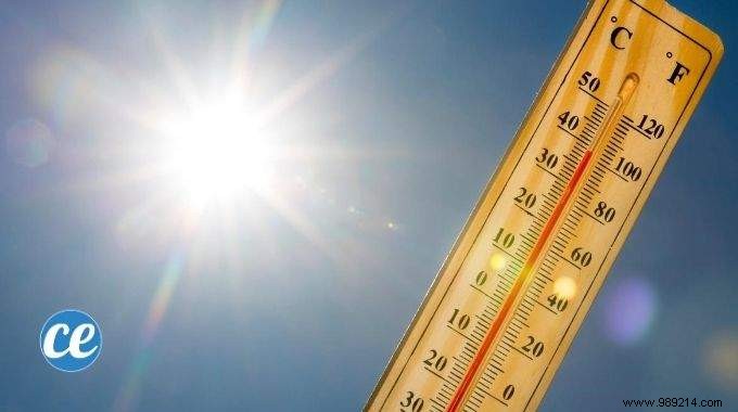 8 Simple and Effective Tips to Survive the Heatwave. 